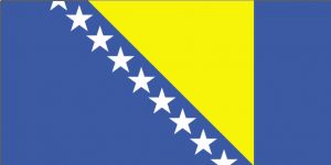 Bosna Hersek Vizesi