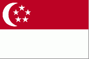 Singapur Vizesi