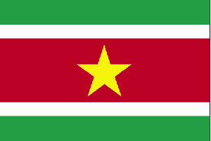 Surinam Vizesi
